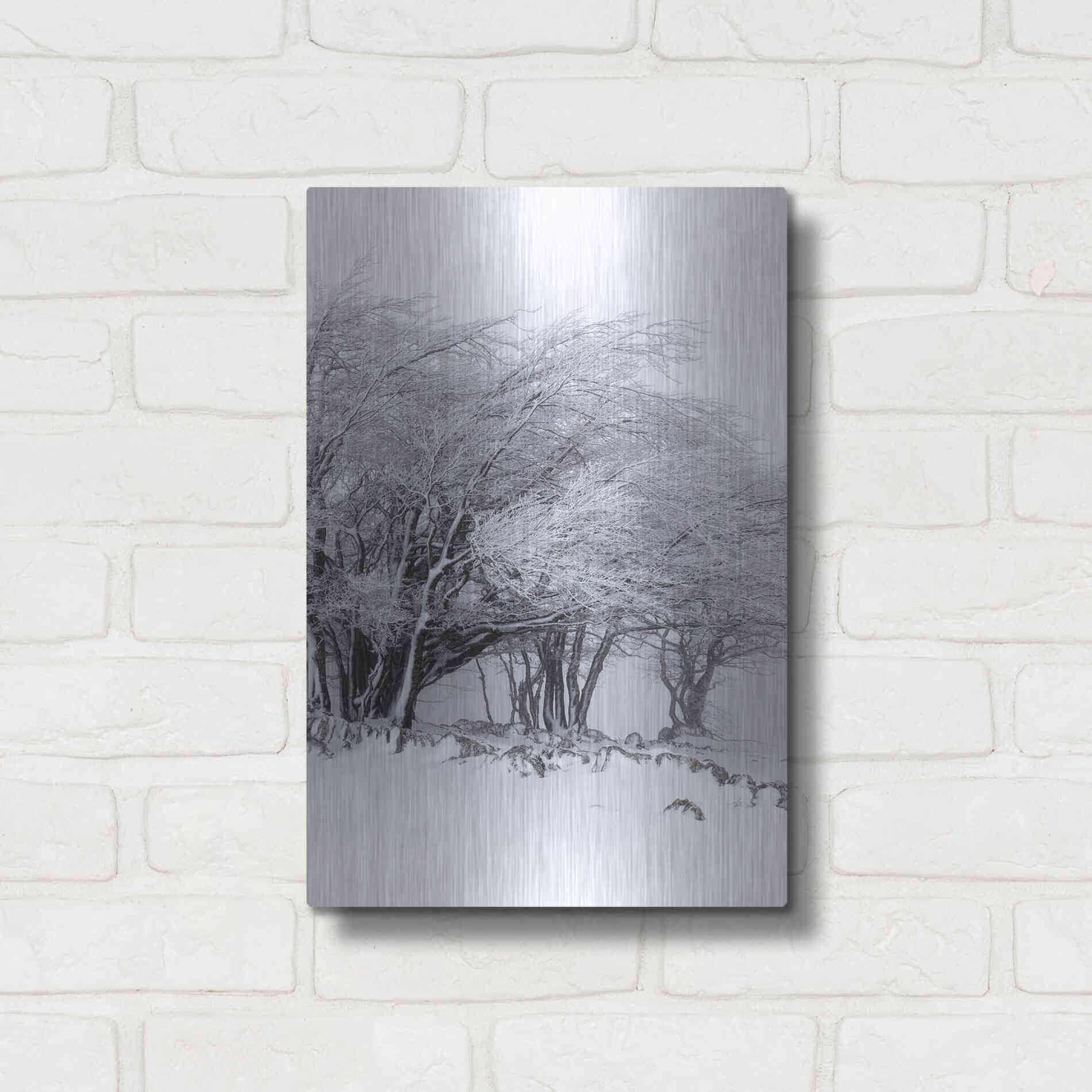 Luxe Metal Art 'Winter Storm' by Incado, Metal Wall Art,12x16