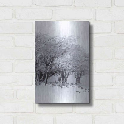 Luxe Metal Art 'Winter Storm' by Incado, Metal Wall Art,12x16