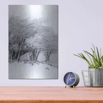 Luxe Metal Art 'Winter Storm' by Incado, Metal Wall Art,12x16