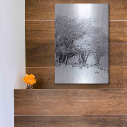Luxe Metal Art 'Winter Storm' by Incado, Metal Wall Art,12x16