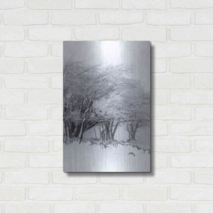 Luxe Metal Art 'Winter Storm' by Incado, Metal Wall Art,16x24