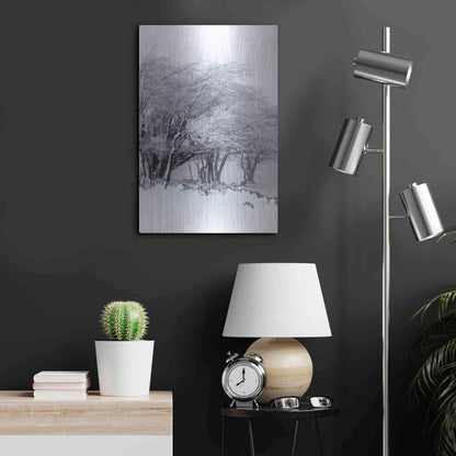 Luxe Metal Art 'Winter Storm' by Incado, Metal Wall Art,16x24