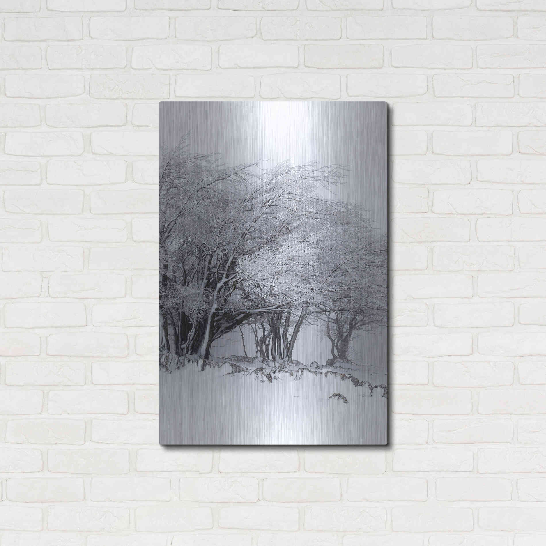 Luxe Metal Art 'Winter Storm' by Incado, Metal Wall Art,24x36