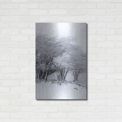 Luxe Metal Art 'Winter Storm' by Incado, Metal Wall Art,24x36