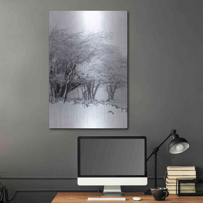 Luxe Metal Art 'Winter Storm' by Incado, Metal Wall Art,24x36