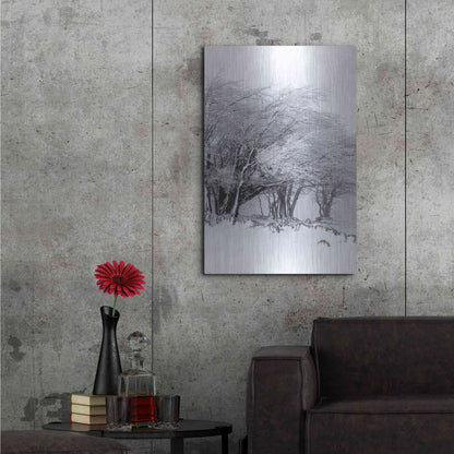 Luxe Metal Art 'Winter Storm' by Incado, Metal Wall Art,24x36