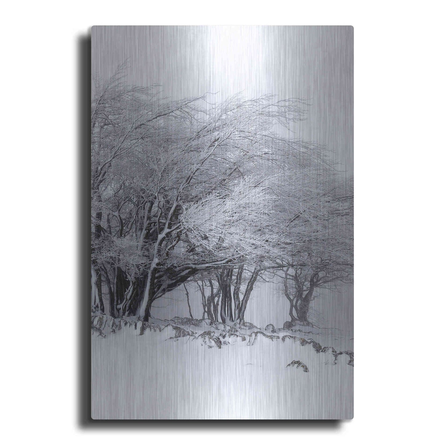 Luxe Metal Art 'Winter Storm' by Incado, Metal Wall Art