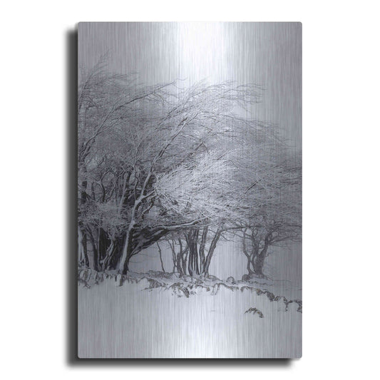 Luxe Metal Art 'Winter Storm' by Incado, Metal Wall Art