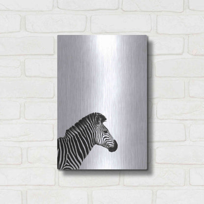Luxe Metal Art 'Zebra 2' by Incado, Metal Wall Art,12x16