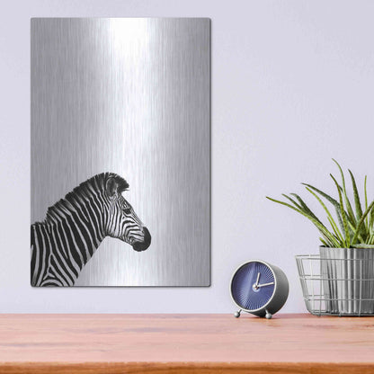 Luxe Metal Art 'Zebra 2' by Incado, Metal Wall Art,12x16