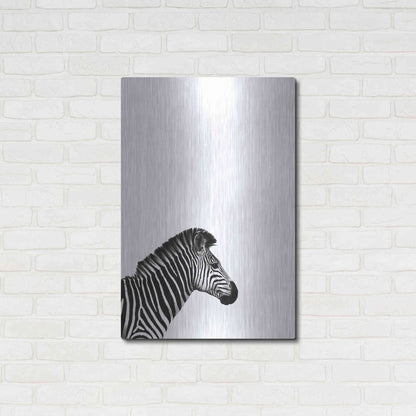 Luxe Metal Art 'Zebra 2' by Incado, Metal Wall Art,24x36