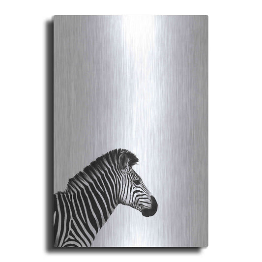 Luxe Metal Art 'Zebra 2' by Incado, Metal Wall Art