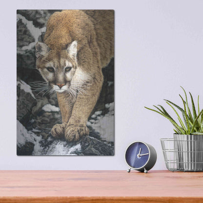 Luxe Metal Art 'Silent Approach' by Jan Henderson, Metal Wall Art,12x16