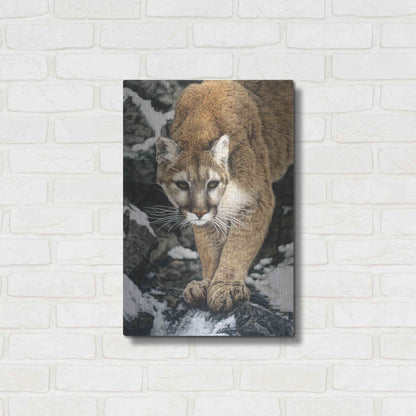 Luxe Metal Art 'Silent Approach' by Jan Henderson, Metal Wall Art,16x24