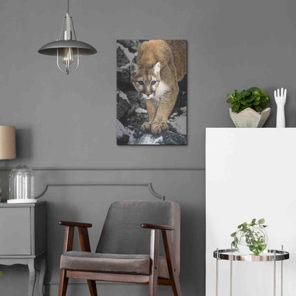 Luxe Metal Art 'Silent Approach' by Jan Henderson, Metal Wall Art,16x24