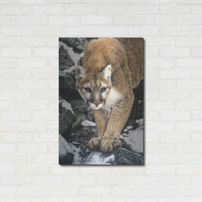 Luxe Metal Art 'Silent Approach' by Jan Henderson, Metal Wall Art,24x36