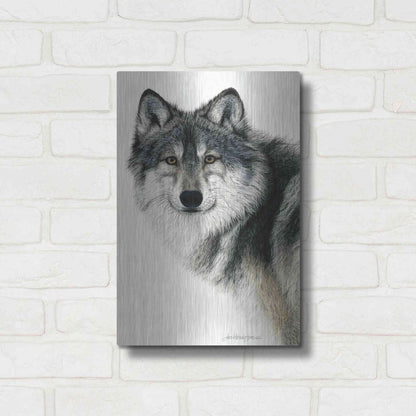 Luxe Metal Art 'Silent Watch' by Jan Henderson, Metal Wall Art,12x16