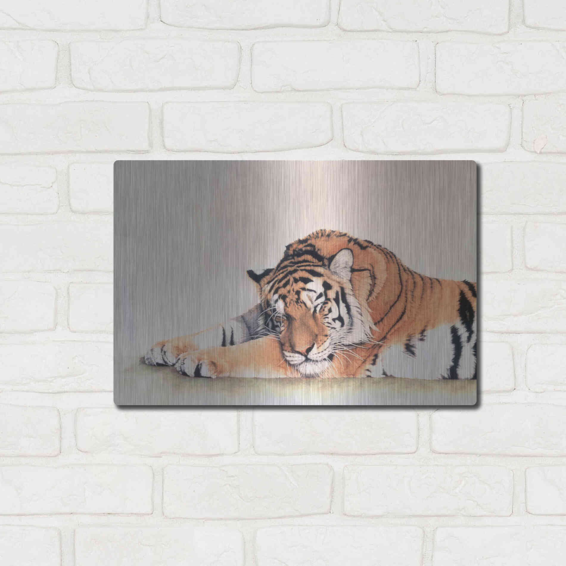 Luxe Metal Art 'Sleeping Tiger' by Jan Henderson, Metal Wall Art,16x12