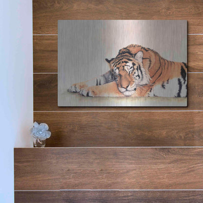 Luxe Metal Art 'Sleeping Tiger' by Jan Henderson, Metal Wall Art,16x12