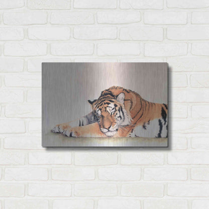 Luxe Metal Art 'Sleeping Tiger' by Jan Henderson, Metal Wall Art,24x16