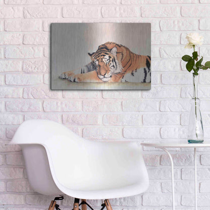 Luxe Metal Art 'Sleeping Tiger' by Jan Henderson, Metal Wall Art,24x16