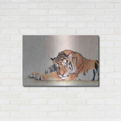 Luxe Metal Art 'Sleeping Tiger' by Jan Henderson, Metal Wall Art,36x24