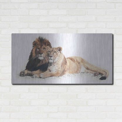 Luxe Metal Art 'Soul Mates' by Jan Henderson, Metal Wall Art,48x24
