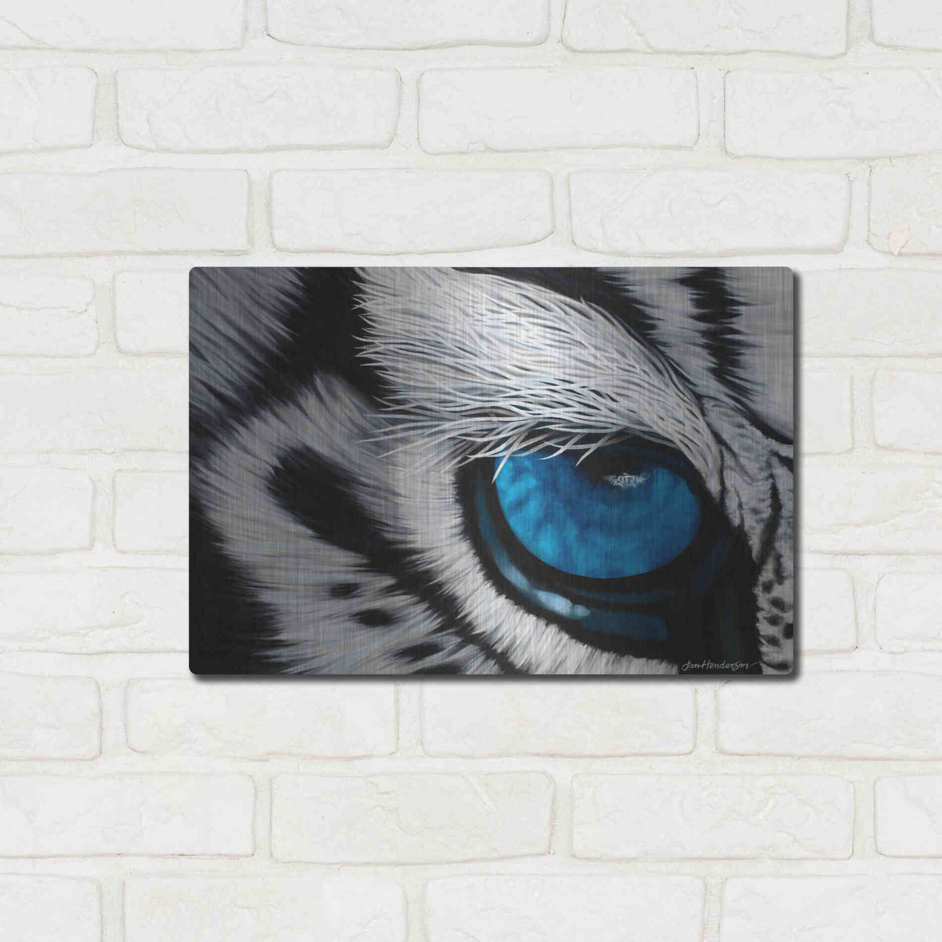 Luxe Metal Art 'Tiger Eye' by Jan Henderson, Metal Wall Art,16x12