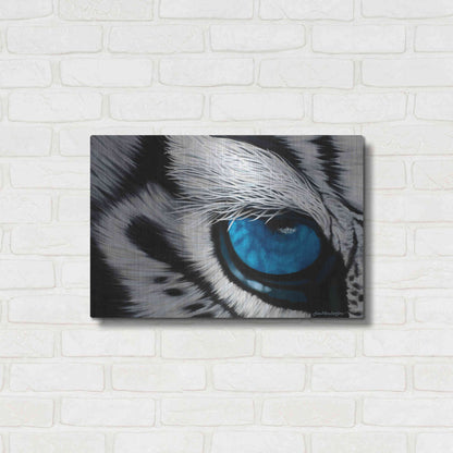 Luxe Metal Art 'Tiger Eye' by Jan Henderson, Metal Wall Art,24x16