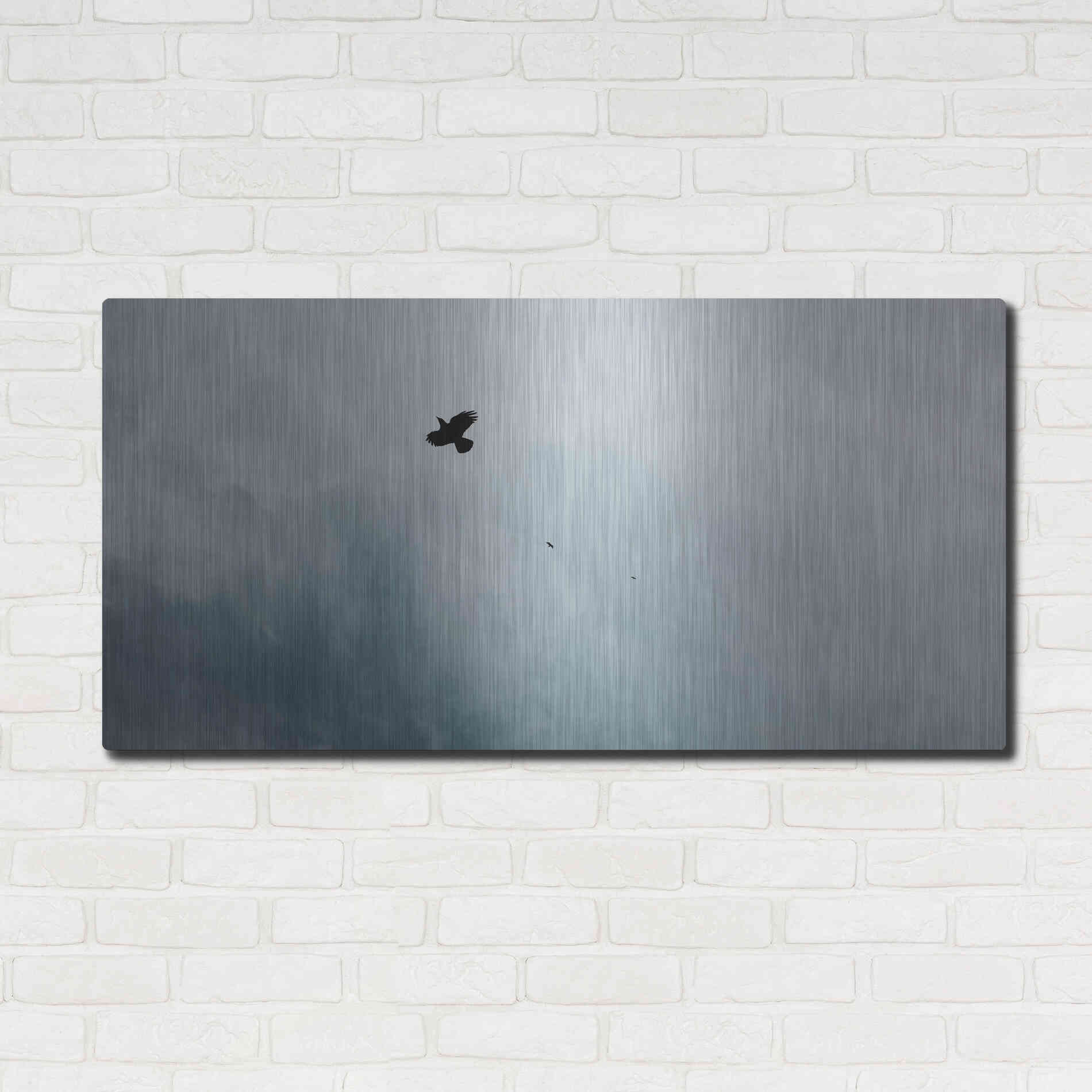 Luxe Metal Art 'Adventurous' by Luxe Portfolio, Metal Wall Art,48x24