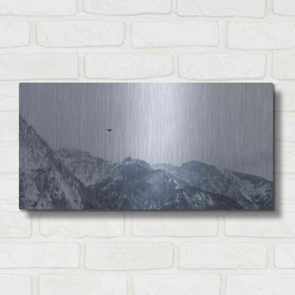 Luxe Metal Art 'Alpine Winter Bird' by Luxe Portfolio, Metal Wall Art,24x12