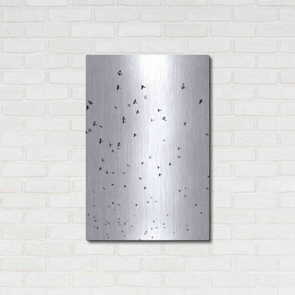 Luxe Metal Art 'Bird Constellation' by Luxe Portfolio, Metal Wall Art,24x36