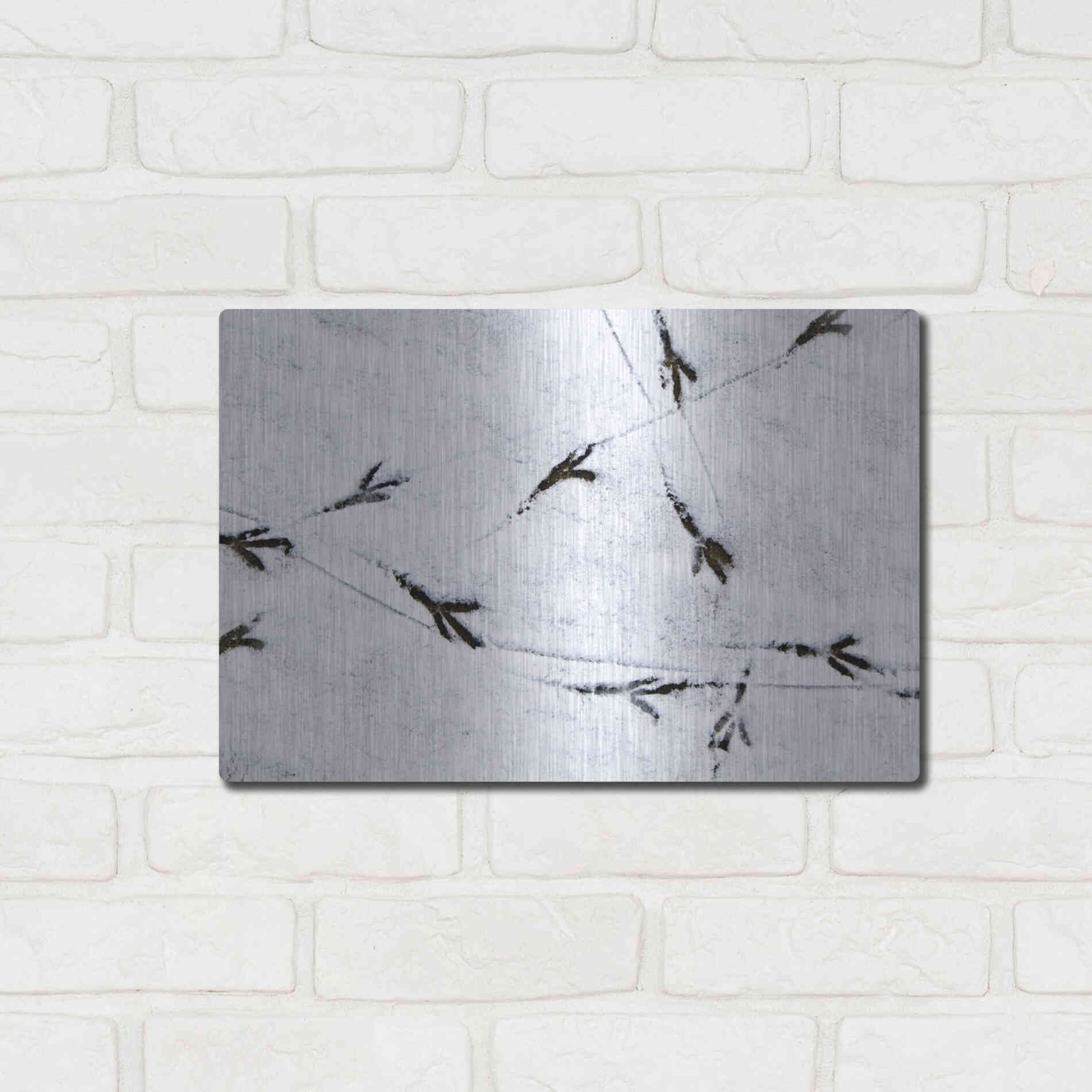 Luxe Metal Art 'Bird's footprints' by Luxe Portfolio, Metal Wall Art,16x12