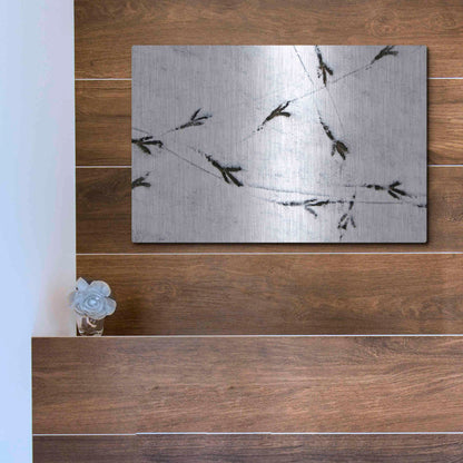 Luxe Metal Art 'Bird's footprints' by Luxe Portfolio, Metal Wall Art,16x12