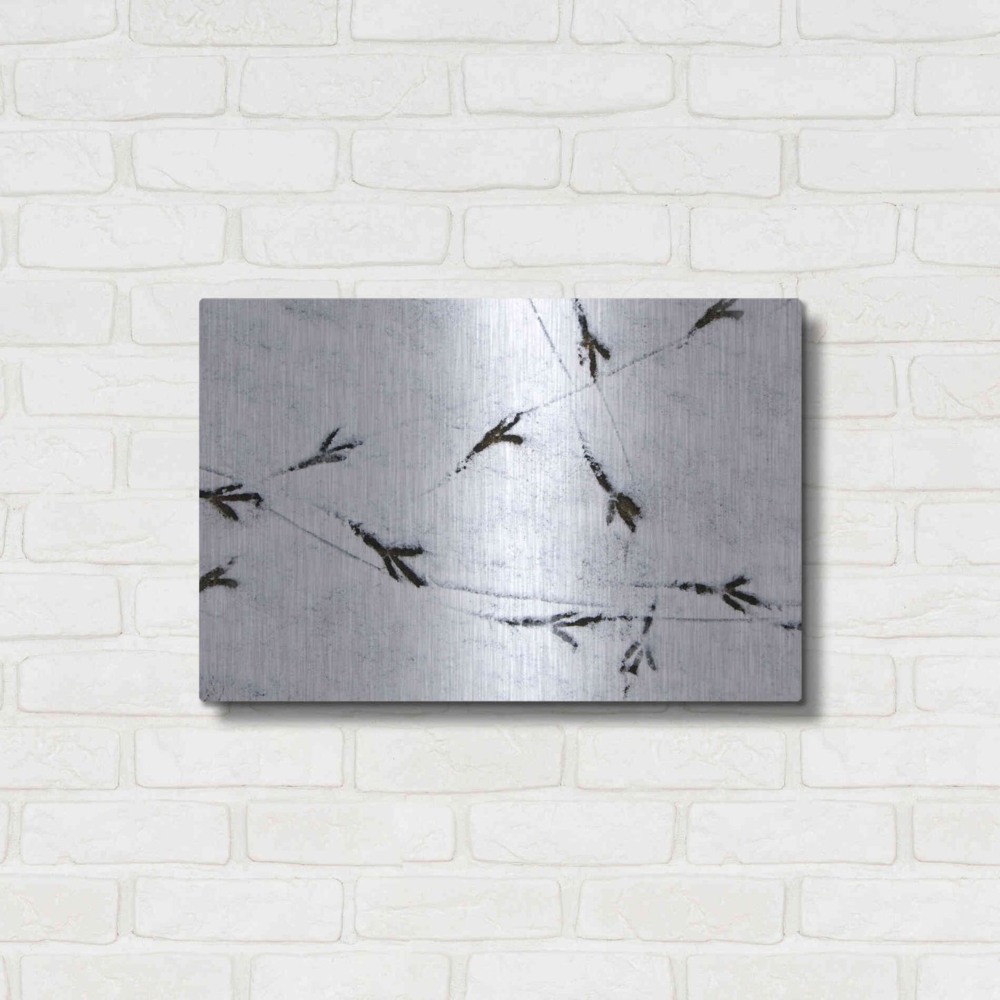 Luxe Metal Art 'Bird's footprints' by Luxe Portfolio, Metal Wall Art,24x16