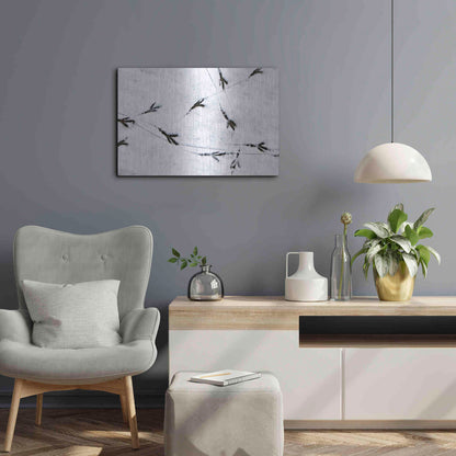 Luxe Metal Art 'Bird's footprints' by Luxe Portfolio, Metal Wall Art,24x16