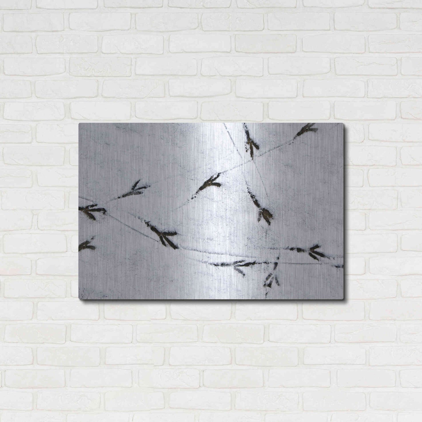 Luxe Metal Art 'Bird's footprints' by Luxe Portfolio, Metal Wall Art,36x24