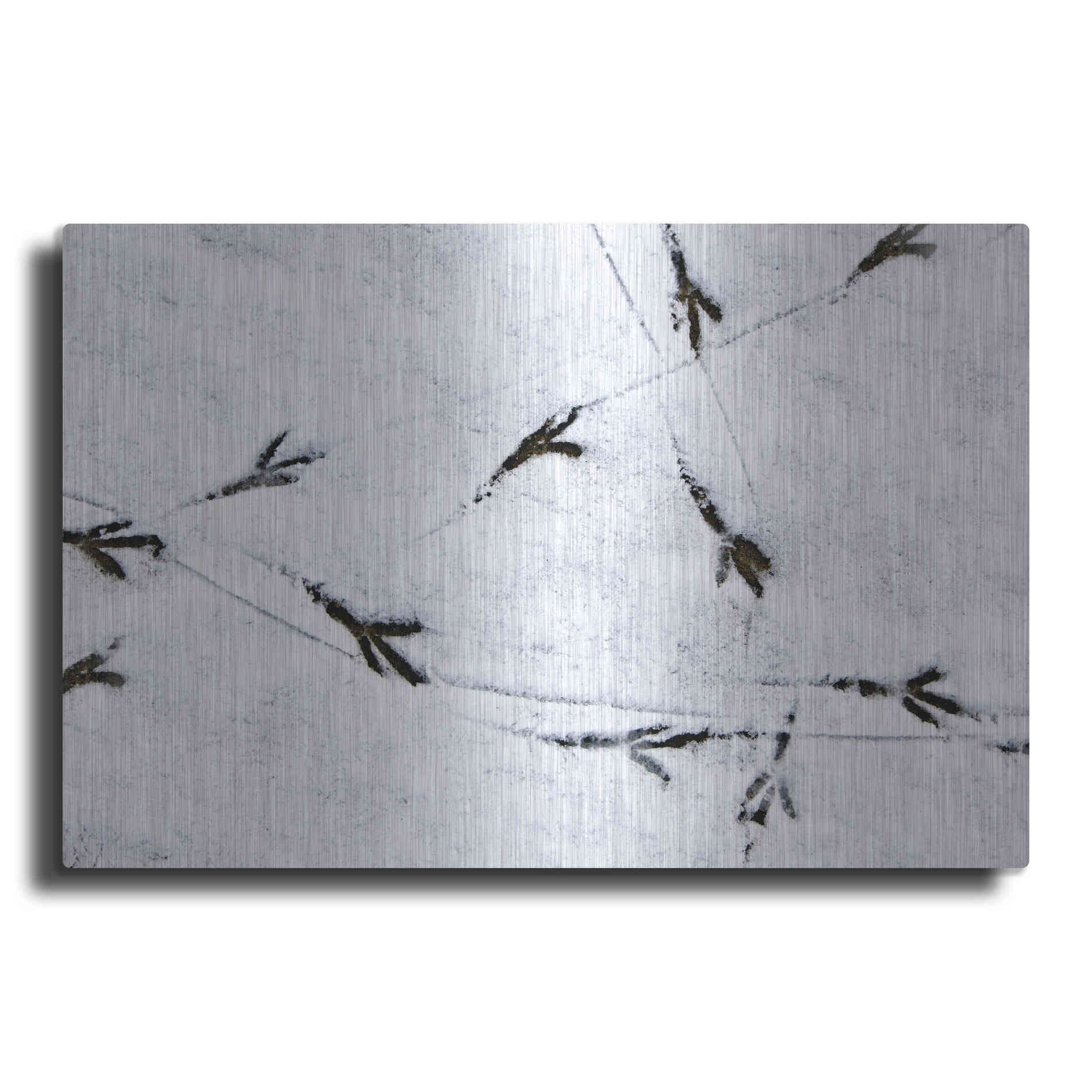 Luxe Metal Art 'Bird's footprints' by Luxe Portfolio, Metal Wall Art