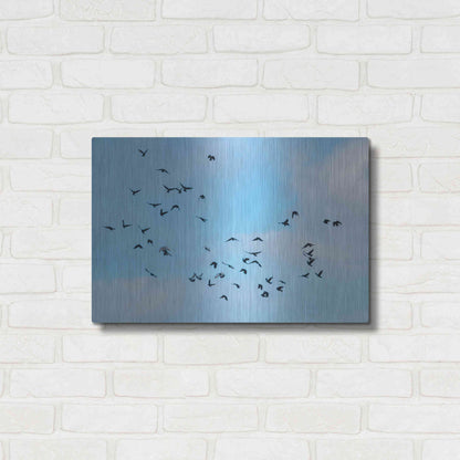 Luxe Metal Art 'Method to the Madness' by Luxe Portfolio, Metal Wall Art,24x16