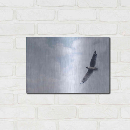 Luxe Metal Art 'Sky Cruising' by Luxe Portfolio, Metal Wall Art,16x12