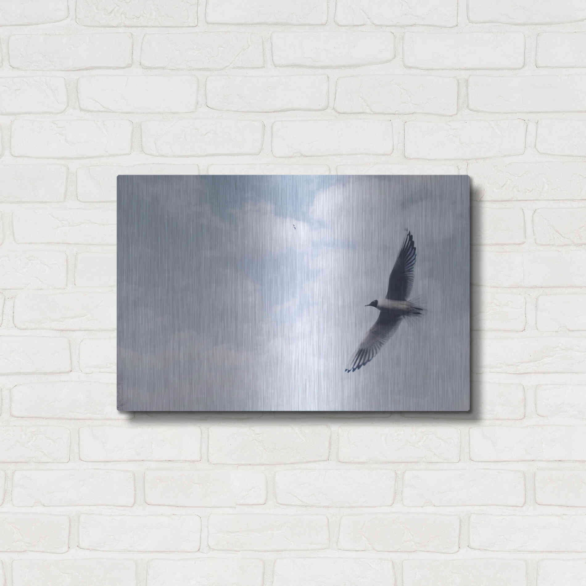 Luxe Metal Art 'Sky Cruising' by Luxe Portfolio, Metal Wall Art,24x16