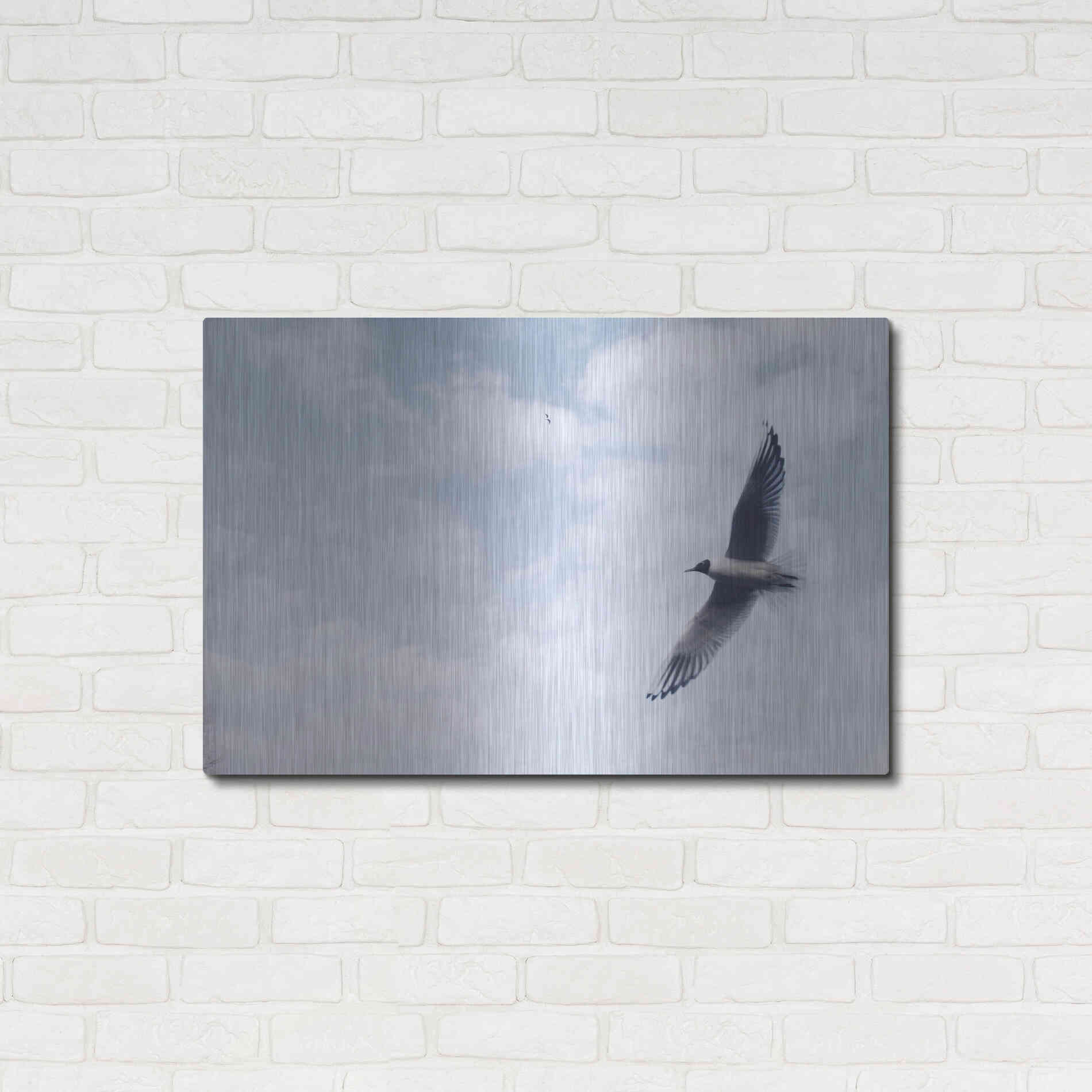 Luxe Metal Art 'Sky Cruising' by Luxe Portfolio, Metal Wall Art,36x24