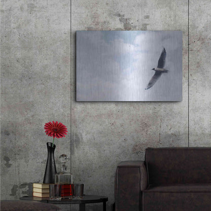 Luxe Metal Art 'Sky Cruising' by Luxe Portfolio, Metal Wall Art,36x24