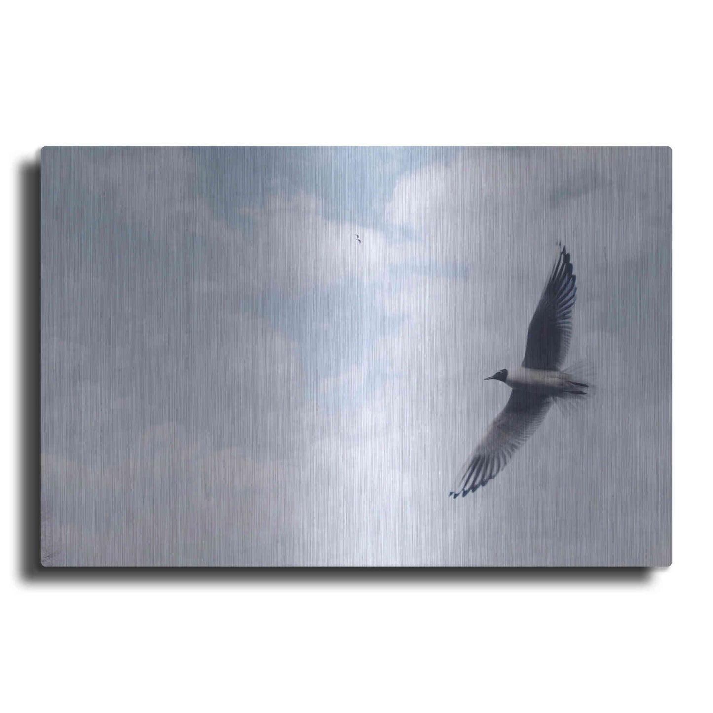 Luxe Metal Art 'Sky Cruising' by Luxe Portfolio, Metal Wall Art