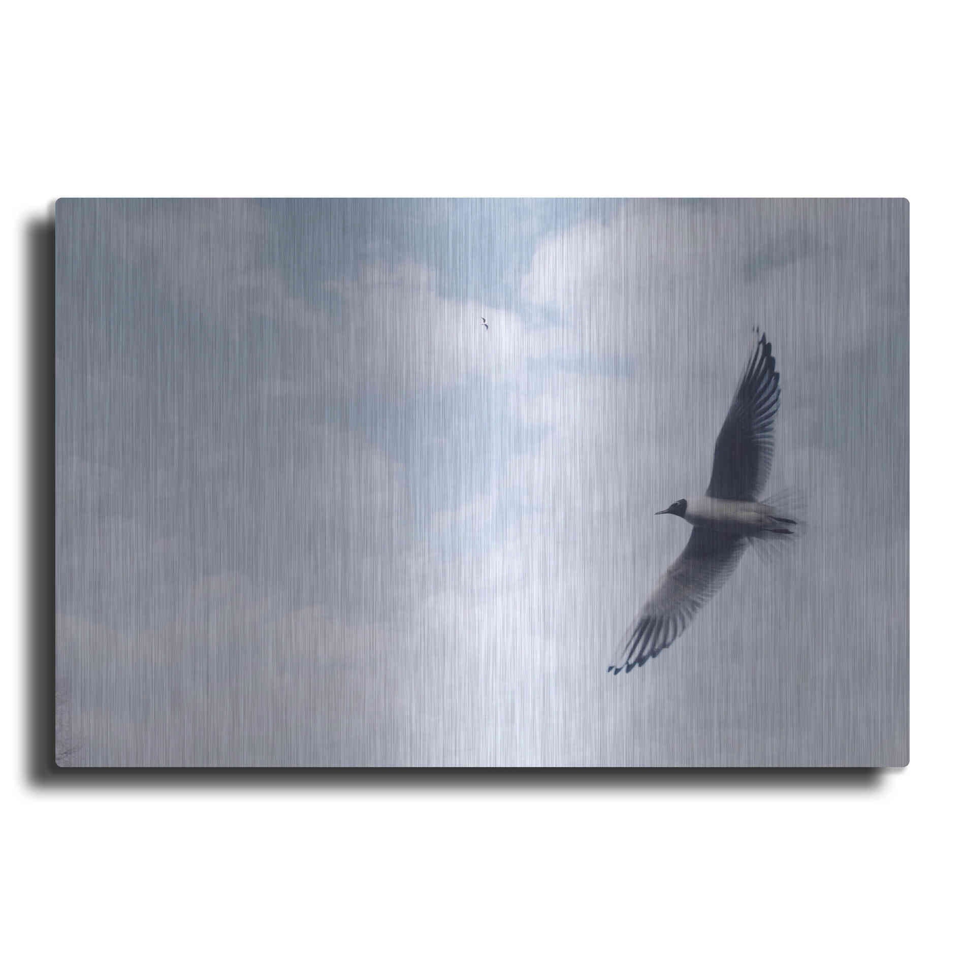 Luxe Metal Art 'Sky Cruising' by Luxe Portfolio, Metal Wall Art