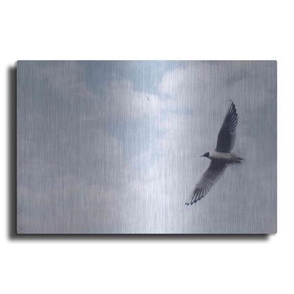 Luxe Metal Art 'Sky Cruising' by Luxe Portfolio, Metal Wall Art