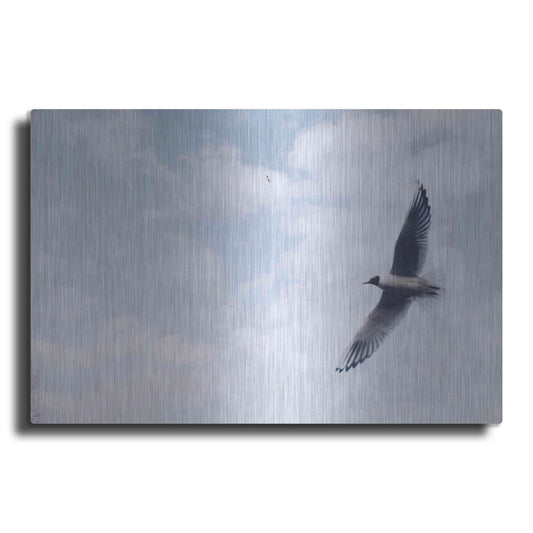 Luxe Metal Art 'Sky Cruising' by Luxe Portfolio, Metal Wall Art