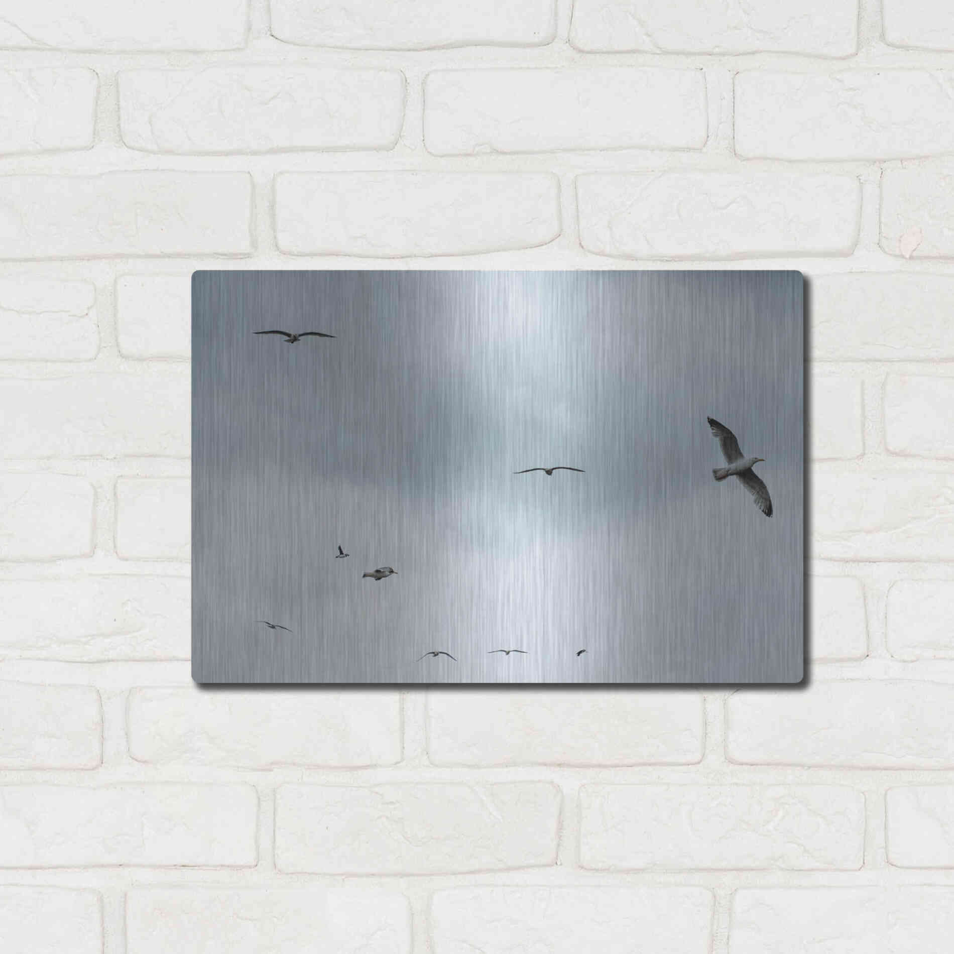 Luxe Metal Art 'Sky Patrol' by Luxe Portfolio, Metal Wall Art,16x12