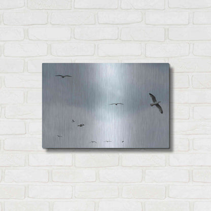 Luxe Metal Art 'Sky Patrol' by Luxe Portfolio, Metal Wall Art,24x16