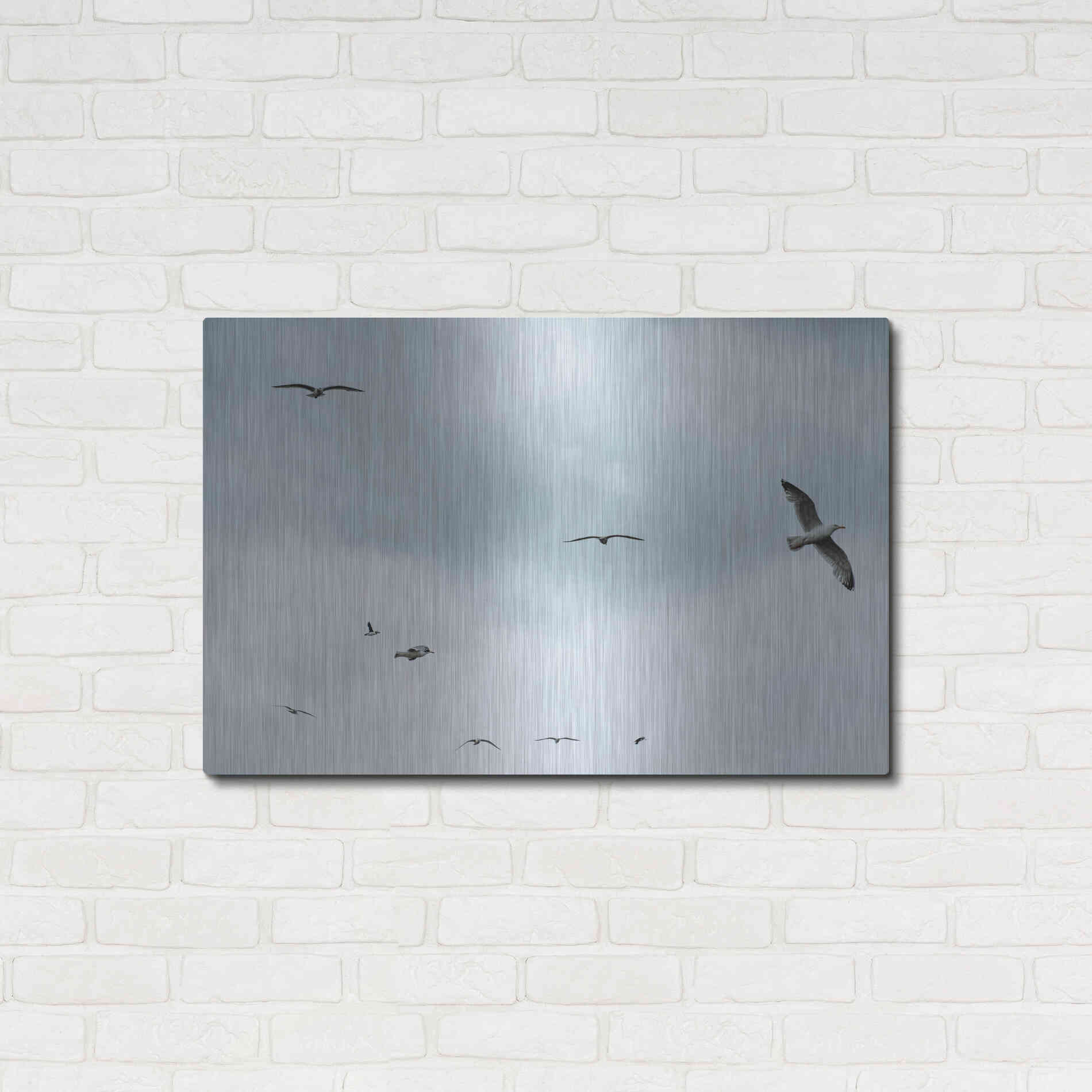 Luxe Metal Art 'Sky Patrol' by Luxe Portfolio, Metal Wall Art,36x24